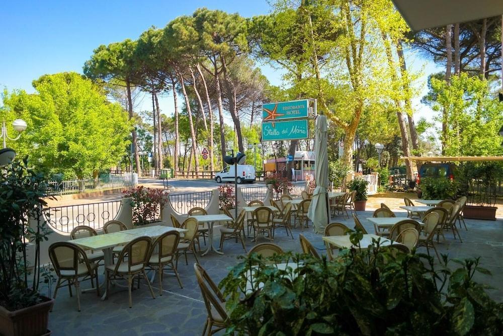 Hotel Stella Del Mare 3*
